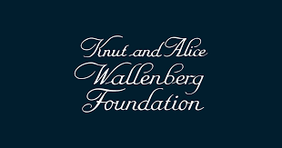 Image result for knut and alice wallenberg foundation logo